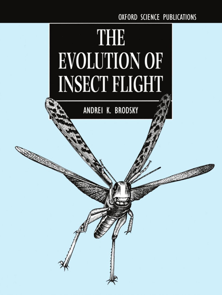 THE EVOLUTION OF INSECT FLIGHT 1