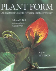 PLANT FORM. AN ILLUSTRATED GUIDE TO FLOWERING PLANT MORPHOLOGY 1