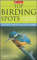TOP BIRDING SPOTS IN BRITAIN AND IRELAND 1