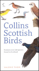 COLLINS GUIDE. SCOTTISH BIRDS 1