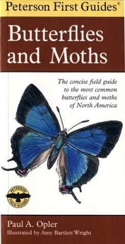 PETERSON FIRST GUIDE TO BUTTERFLIES AND MOTHS