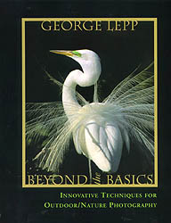 BEYOND THE BASICS. INNOVATIVE TECHNIQUES FOR OUTDOOR/NATURE PHOTOGRAPHY 1