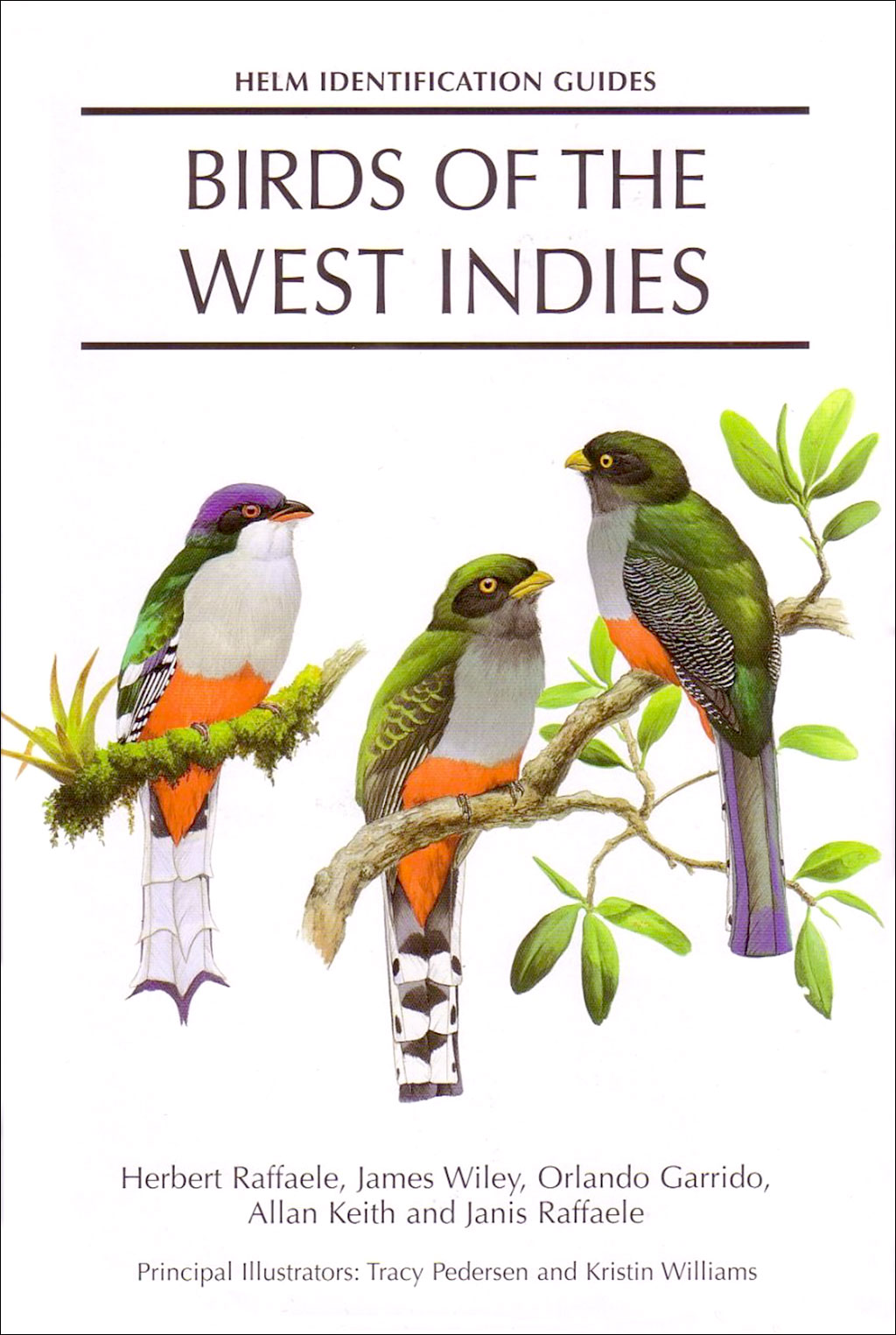 HELM IDENTIFICATION GUIDES. BIRDS OF THE WEST INDIES 1