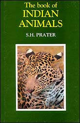 THE BOOK OF INDIAN ANIMALS