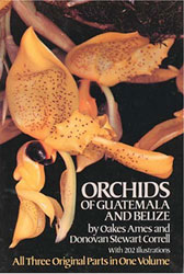 ORCHIDS OF GUATEMALA AND BELIZE 1