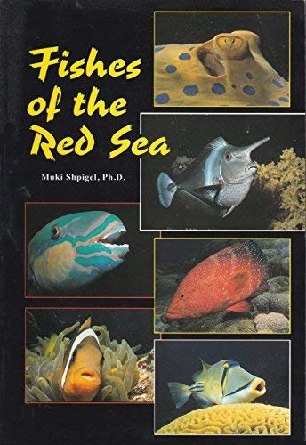 FISHES OF THE RED SEA
