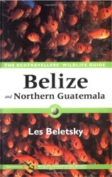 THE ECOTRAVELLERS' WILDLIFE GUIDE. BELIZE AND NORTHERN GUATEMALA