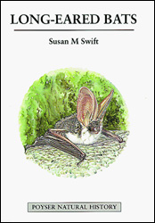 LONG-EARED BATS