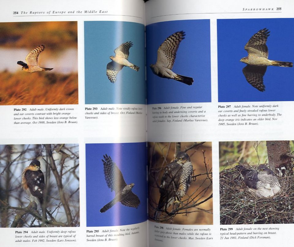 THE RAPTORS OF EUROPE AND THE MIDDLE EAST. A HANDBOOK OF FIELD IDENTIFICATION. 3