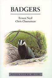 BADGERS 1