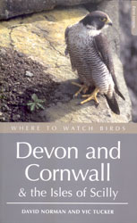 WHERE TO WATCH BIRDS IN DEVON AND CORNWALL 1