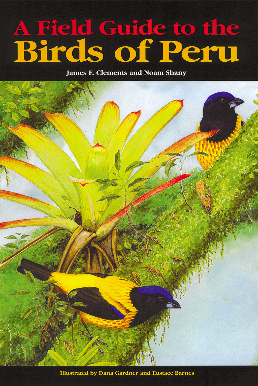 A FIELD GUIDE TO THE BIRDS OF PERU                                                                                                                     1