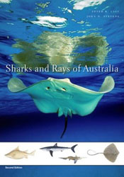 SHARKS AND RAYS OF AUSTRALIA. 1