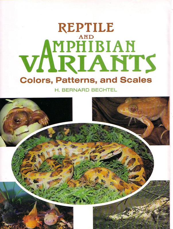 REPTILE AND AMPHIBIAN VARIANTS. COLORS, PATTERNS AND SCALES