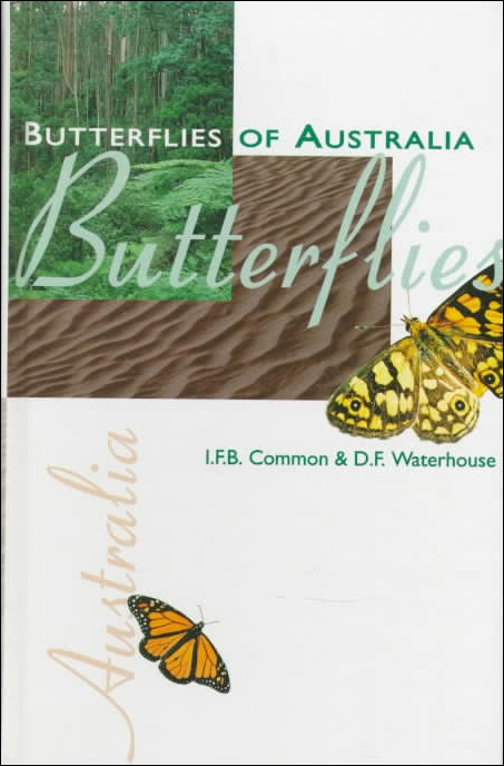 BUTTERFLIES OF AUSTRALIA.