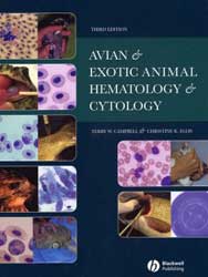 AVIAN AND EXOTIC ANIMAL HEMATOLOGY AND CYTOLOGY.
