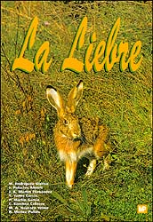 LA LIEBRE 1