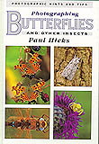 PHOTOGRAPHING BUTTERFLIES AND OTHER INSECTS 1