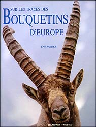 SUR LES TRACES DES BOUQUETINS D'EUROPE 1