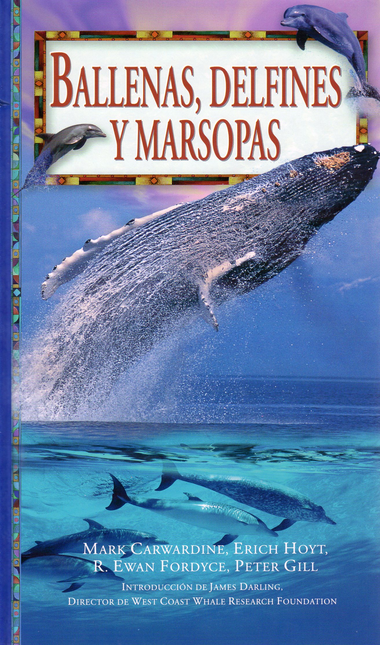 BALLENAS, DELFINES Y MARSOPAS 1