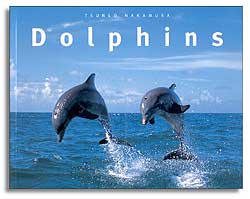 DOLPHINS