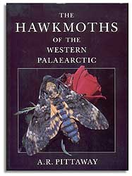 THE HAWKMOTHS OF THE WESTERN PALAEARCTIC