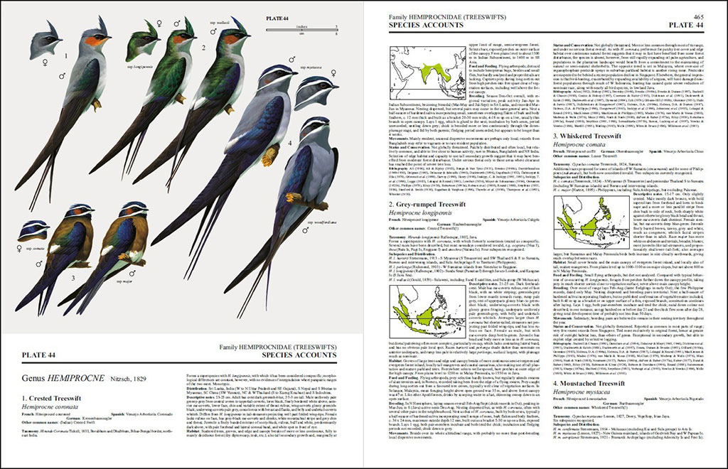HANDBOOK OF THE BIRDS OF THE WORLD, VOL. 5. BARN-OWLS TO HUMMINGBIRDS 3