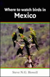 WHERE TO WATCH BIRDS IN MEXICO 1