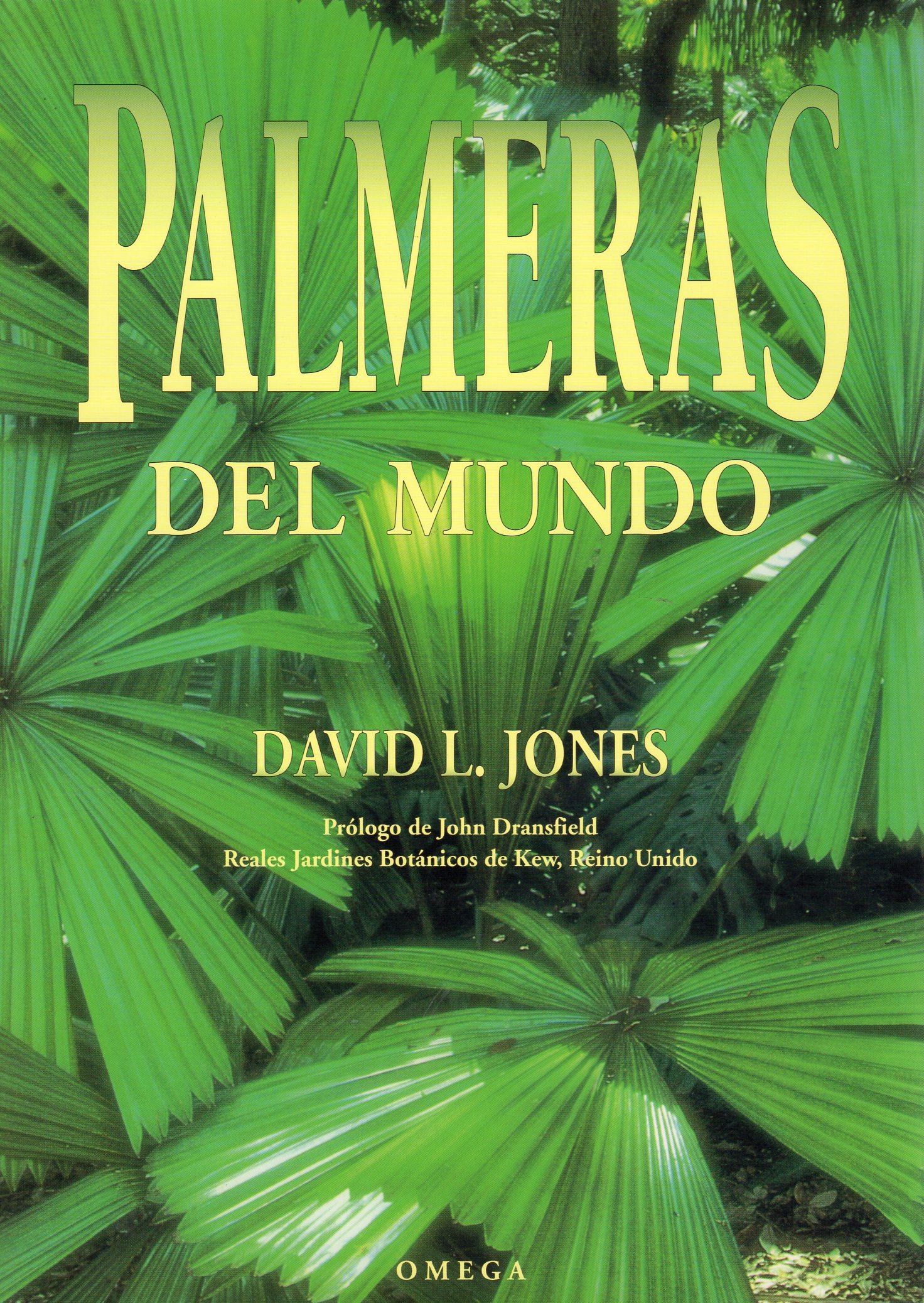 PALMERAS DEL MUNDO