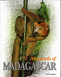 MAMMALS OF MADAGASCAR