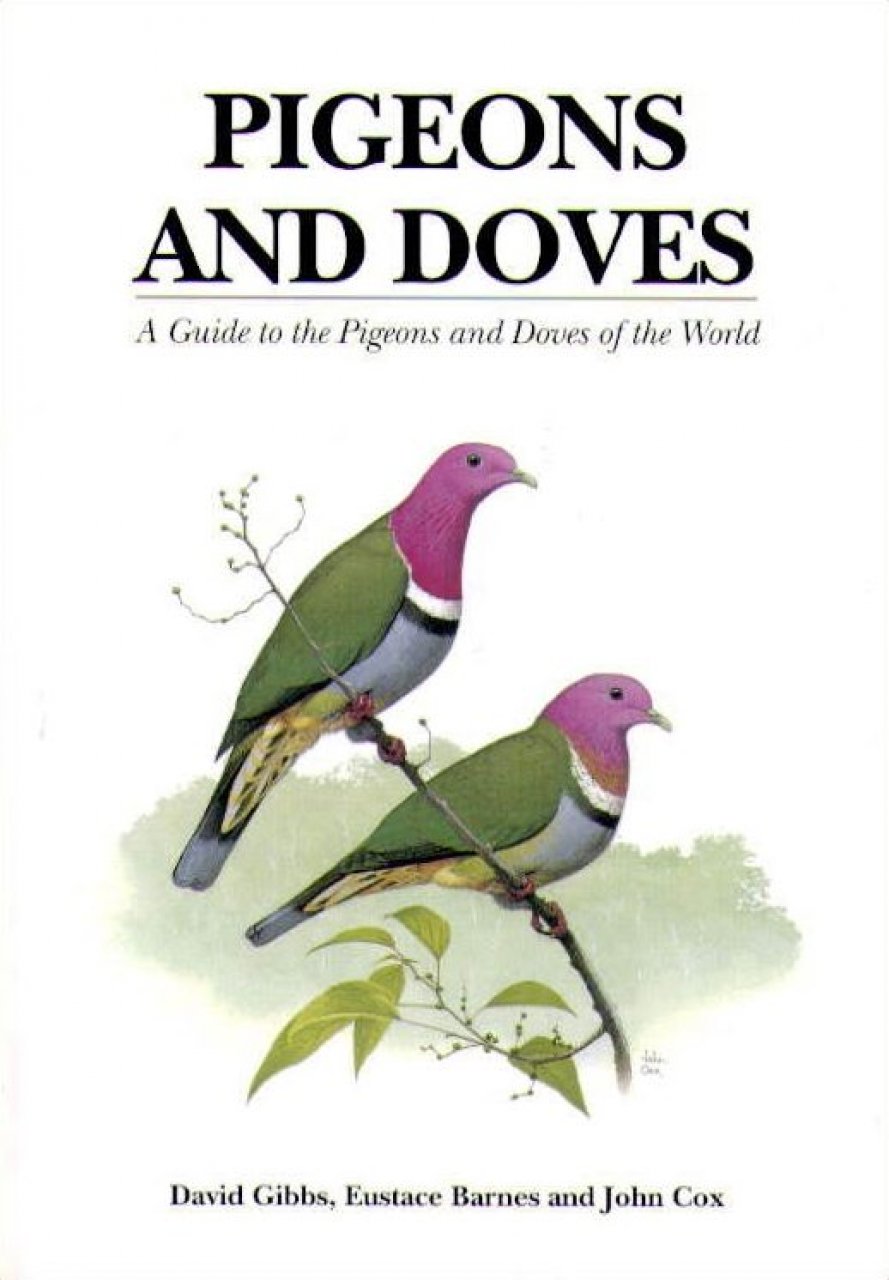 PIGEONS AND DOVES. A GUIDE TO THE PIGEONS AND DOVES OF THE WORLD