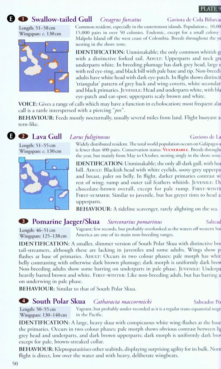BIRDS, MAMMALS AND REPTILES OF THE GALÁPAGOS ISLANDS                                                                                           2