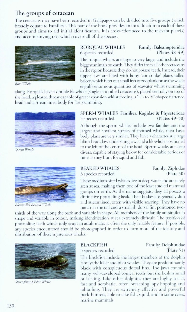 BIRDS, MAMMALS AND REPTILES OF THE GALÁPAGOS ISLANDS                                                                                           6
