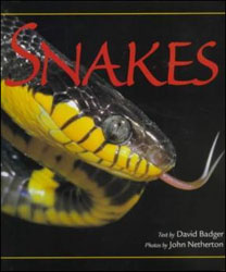 SNAKES 1