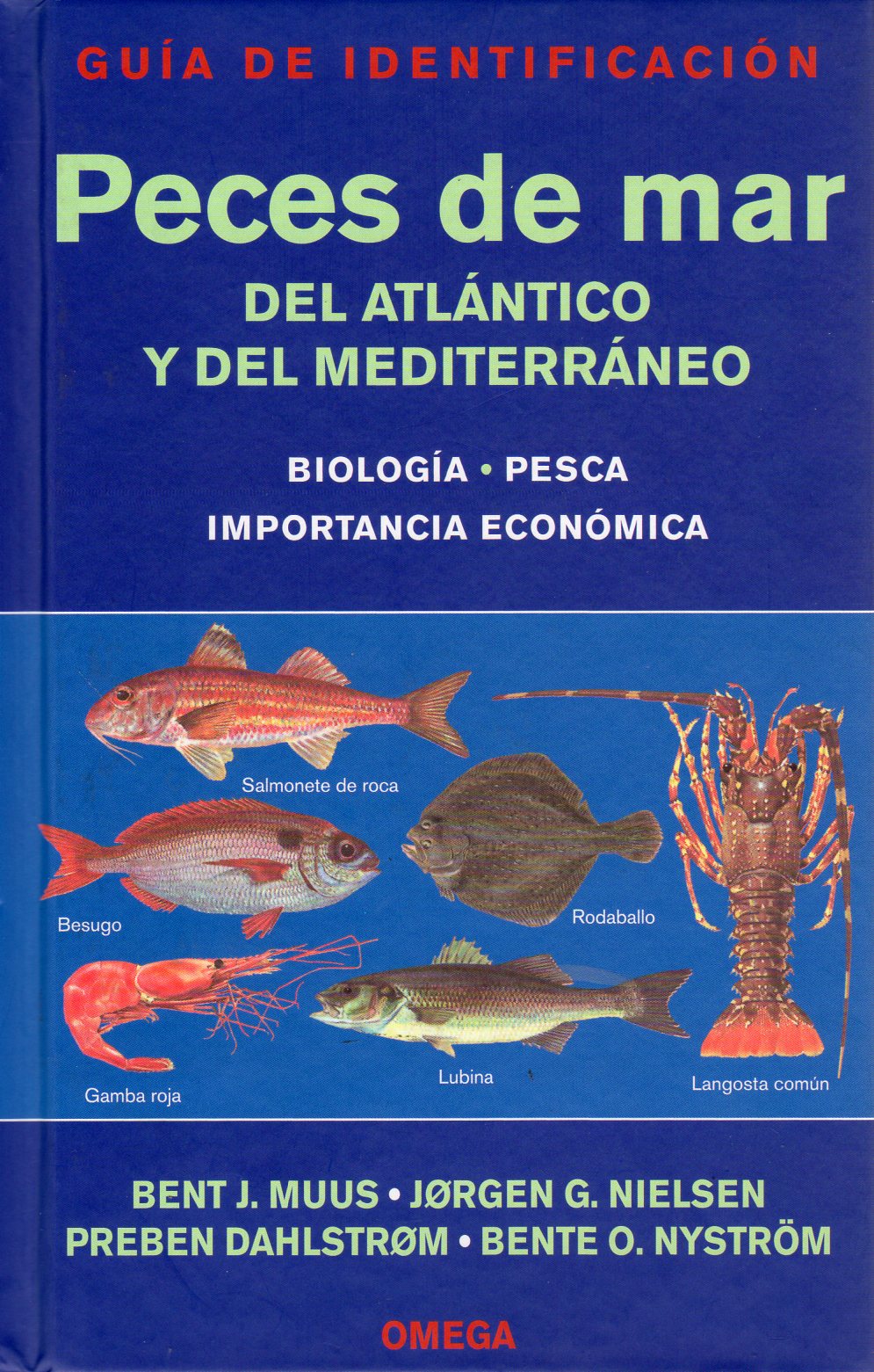 PECES DE MAR DEL ATLÁNTICO Y DEL MEDITERRÁNEO 1