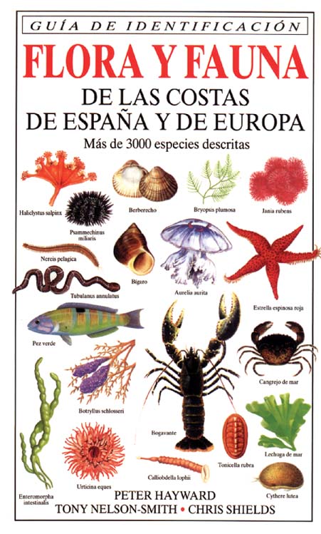 FLORA Y FAUNA DE LAS COSTAS DE ESPAÑA Y DE EUROPA                                                                                                      1