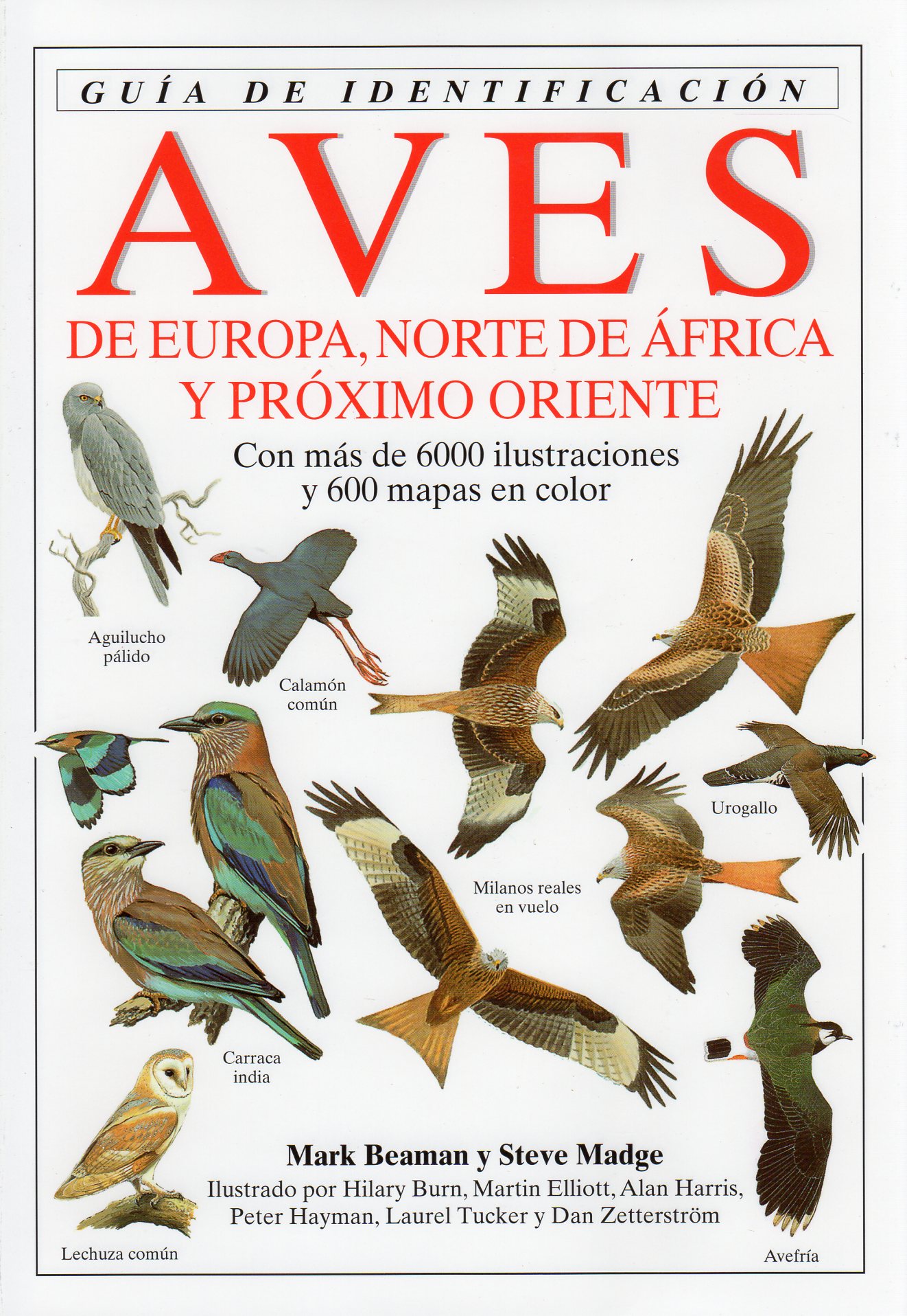 AVES DE EUROPA, NORTE DE ÁFRICA Y PRÓXIMO ORIENTE. GUÍA DE IDENTIFICACIÓN
