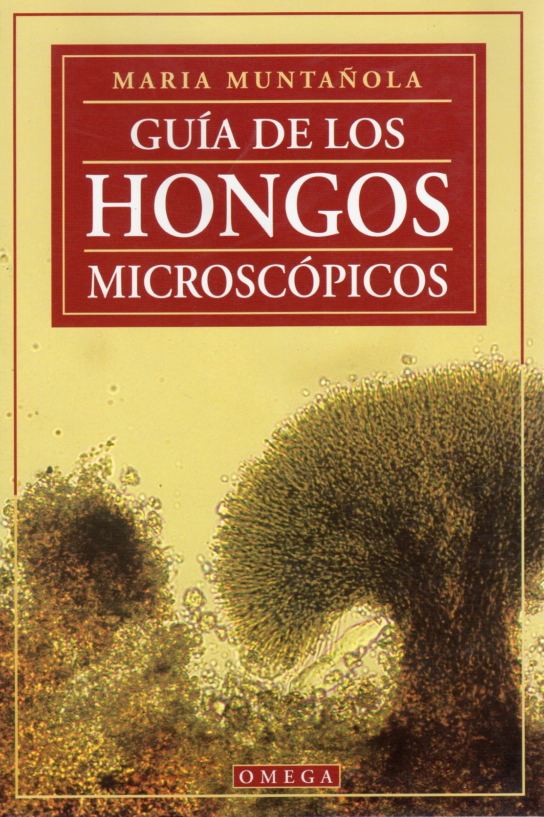 GUÍA DE LOS HONGOS MICROSCÓPICOS 1