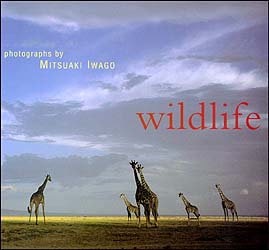 WILDLIFE. PHOTOGRAPHS BY MITSUAKI IWAGO