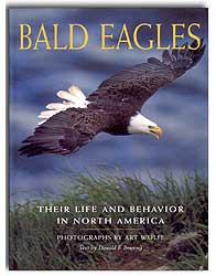 BALD EAGLES. THEIR LIFE AND BEHAVIOR IN NORTH AMERICA