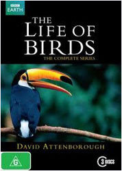 DVD THE LIFE OF BIRDS THE COMPLETE SERIES