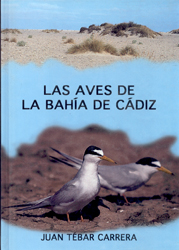 LAS AVES DE LA BAHÍA DE CÁDIZ 1