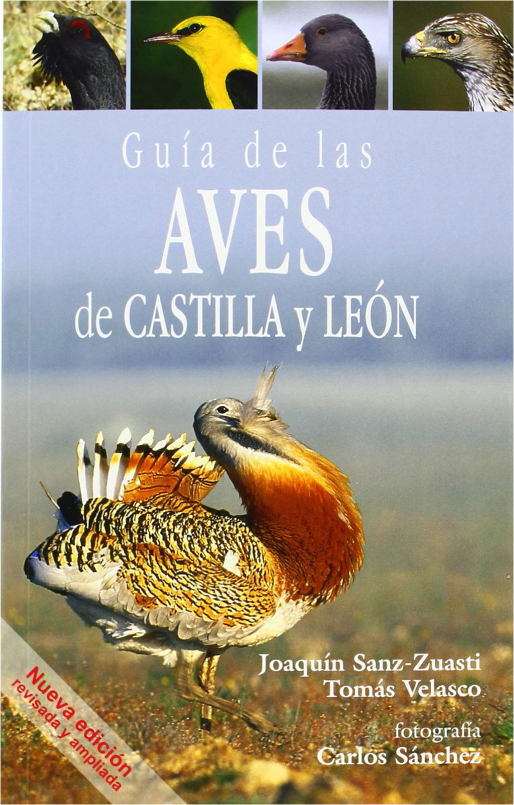 GUÍA DE LAS AVES DE CASTILLA Y LEÓN. NUEVA EDICIÓN REVISADA Y AMPLIADA 1