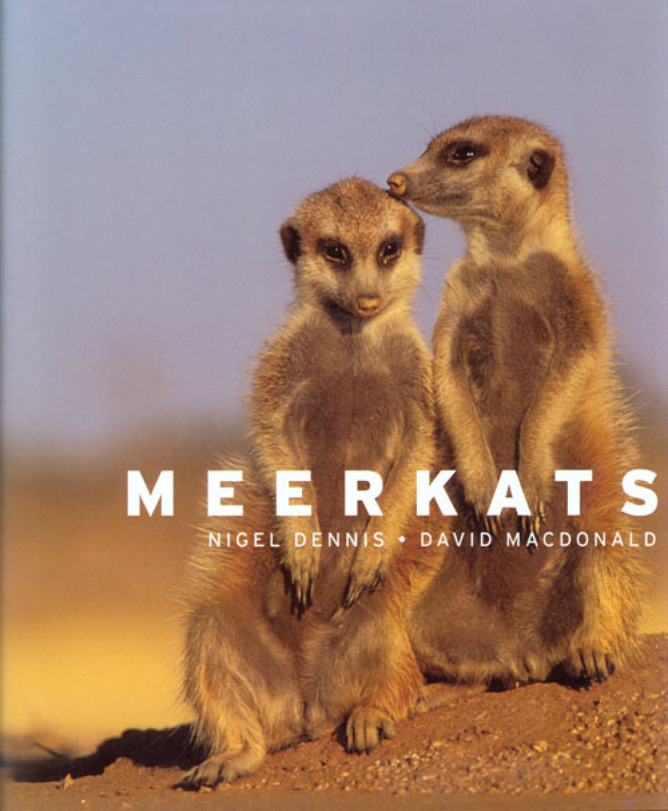 MEERKATS
