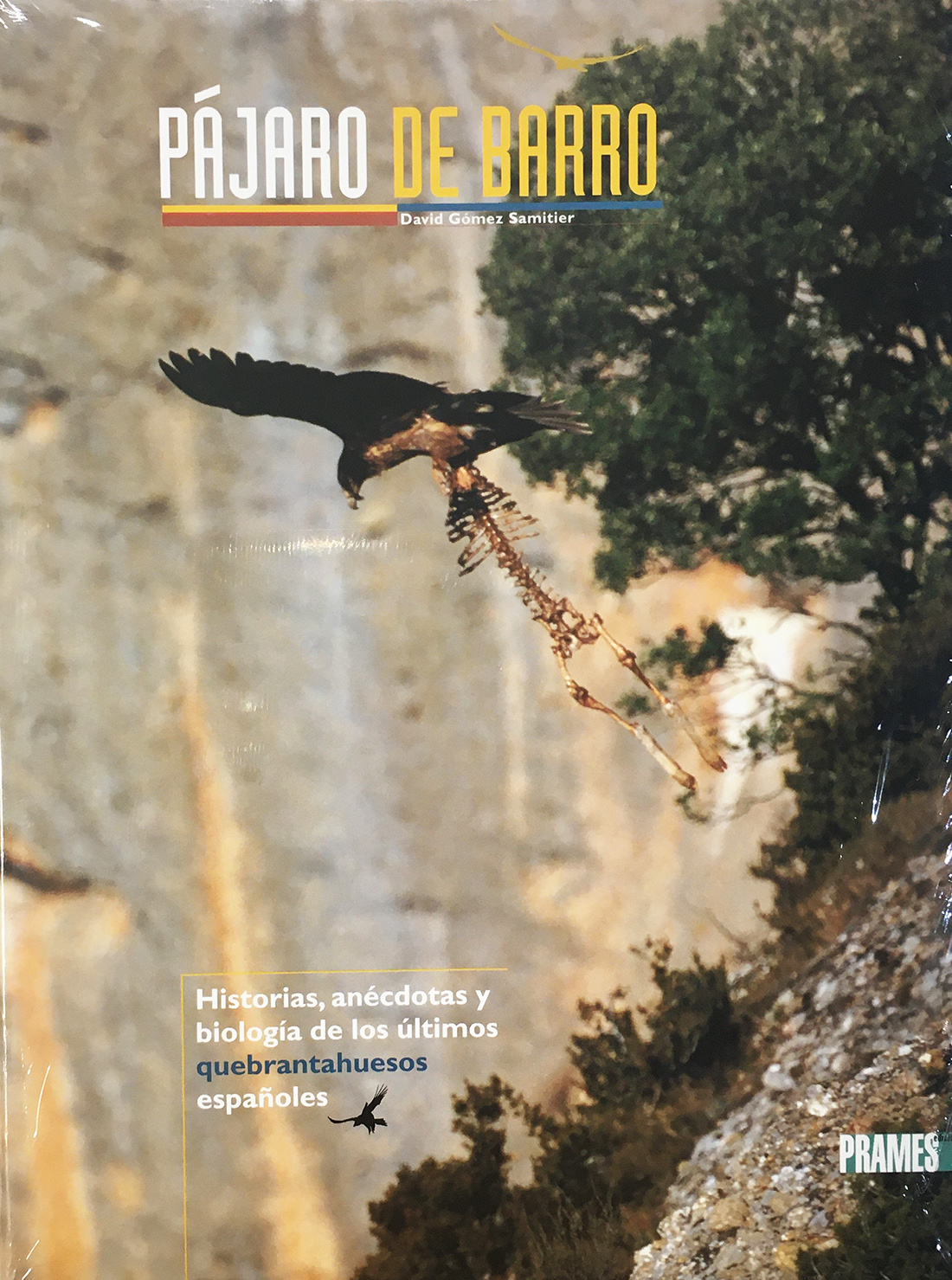 PÁJARO DE BARRO. HISTORIAS, ANÉCDOTAS Y BIOLOGÍA DE LOS ÚLTIMOS QUEBRANTHUESOS ESPAÑOLES 1