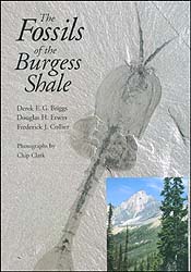 THE FOSSILS OF BURGESS SHALE