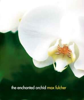 THE ENCHANTED ORCHID 1