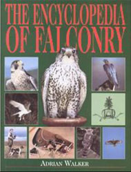 THE ENCYCLOPEDIA OF FALCONRY 1