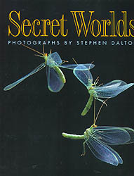 SECRET WORLDS. PHOTOGRAPHS BY STEPHEN DALTON 1