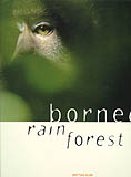 BORNEO RAIN FOREST